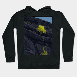 Black Rock Mountain - Landscape Hoodie